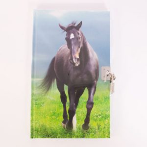 Tagebuch Pferd